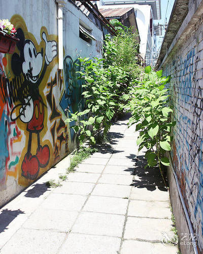 Hostel P.loft Youth